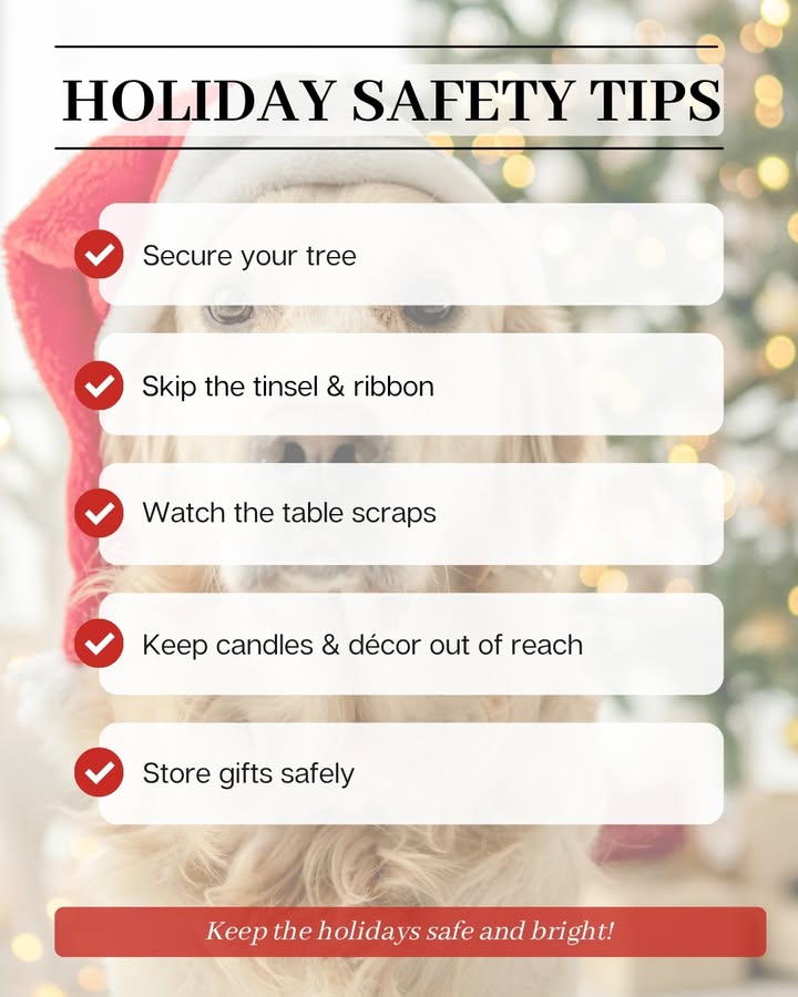 Keep the holidays safe and bright!