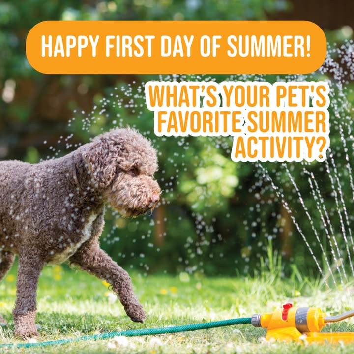 Happy First Day of Summer!