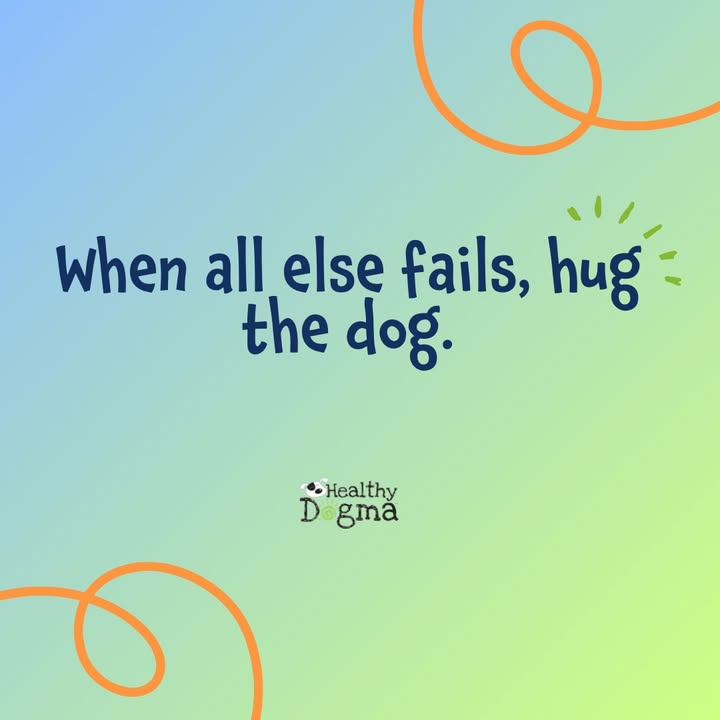 Some days call for answers… and some days just call for dog hugs 🐾💚