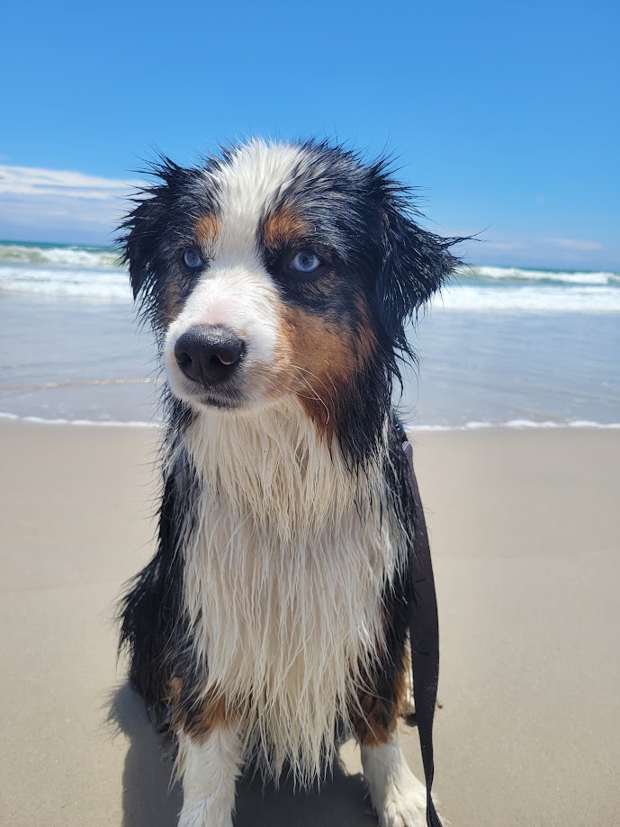 Chap's Diary - Vacation Update