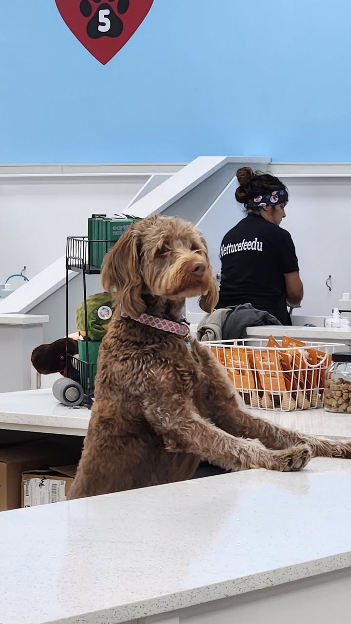 Wesley is ready to help you!