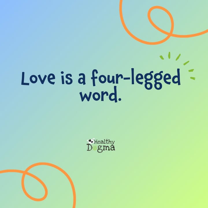 Love is a four-legged word