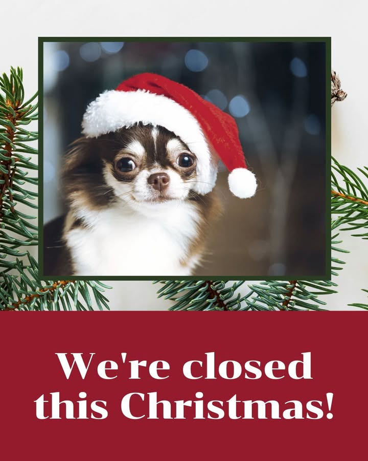 We’ll be closed on Christmas Eve(12/24) and Christmas Day(12/25) so our team can spend time with family.🎄Wishing you and your pe...