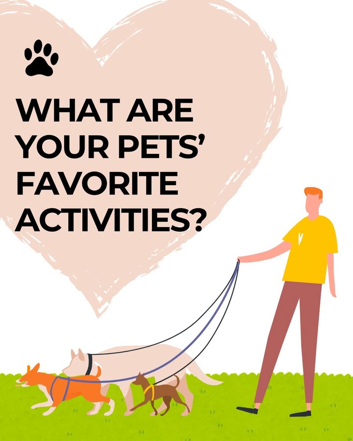 🐶 This or That