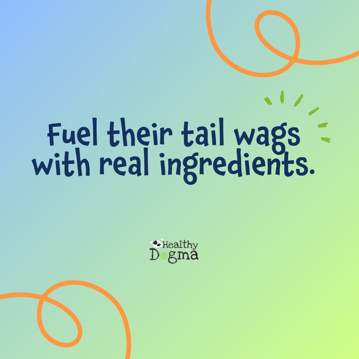 Try Healthy Dogma today 🌱💙