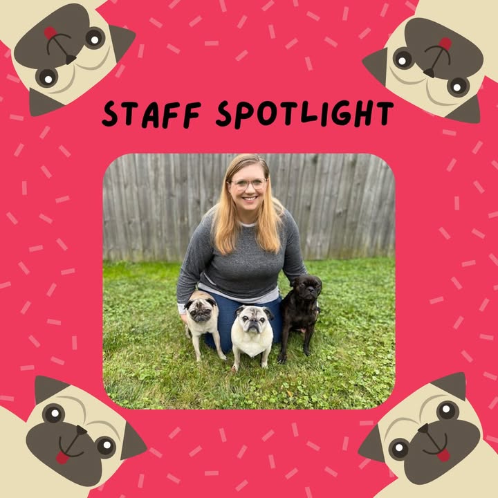 Today we feature Stephanie, our Office Manager and LVT