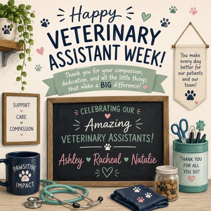 This week, we’re celebrating the incredible veterinary assistants who keep our hospital running with compassion, teamwork, and h...
