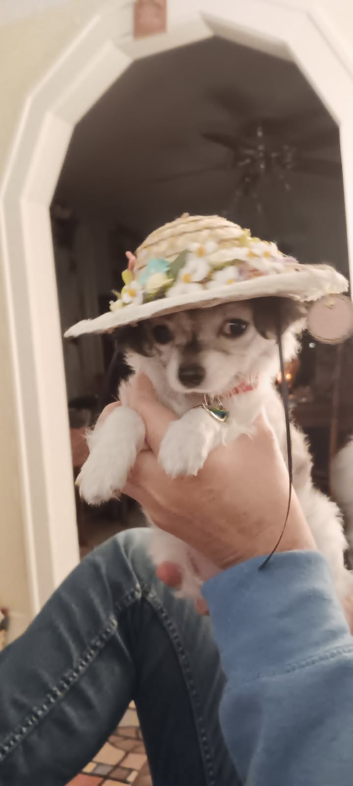 Everyone, meet this little lady!