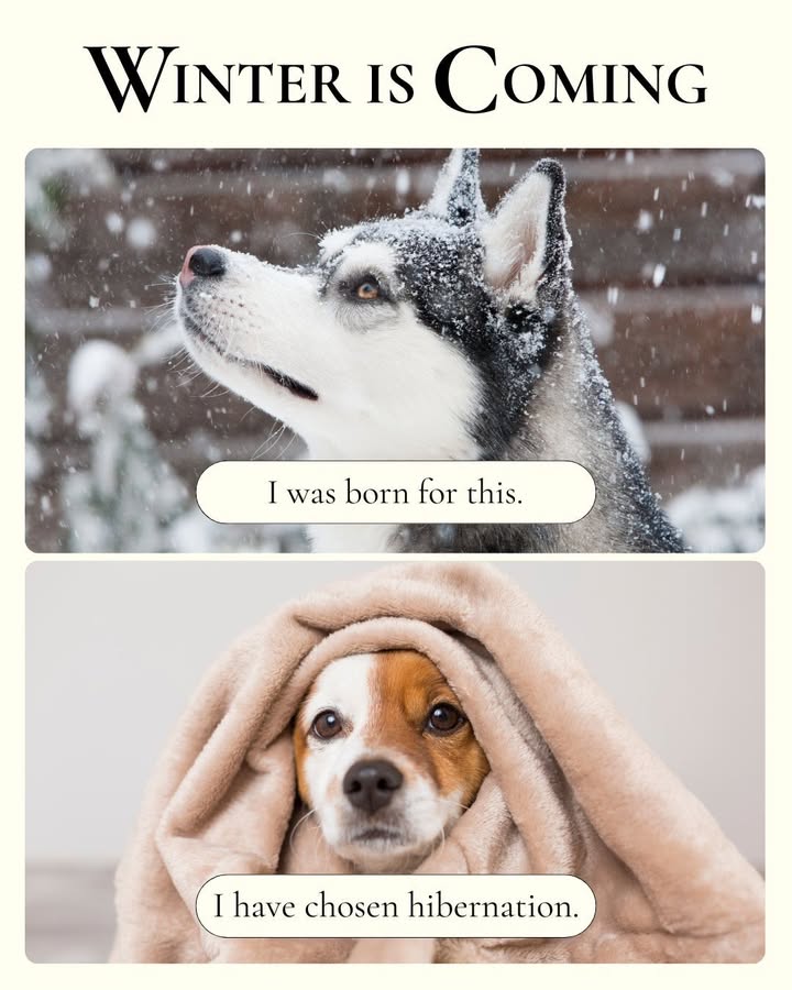 It's getting chilly!