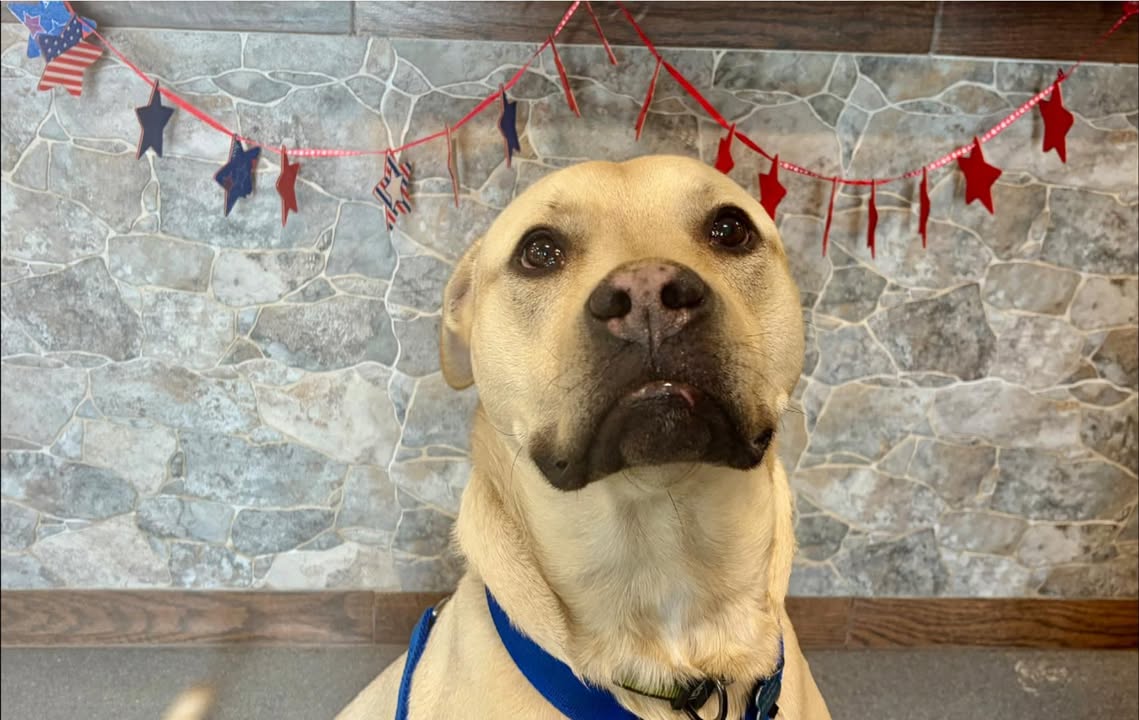 As we head into Memorial Day weekend, please remember that fireworks can be stressful