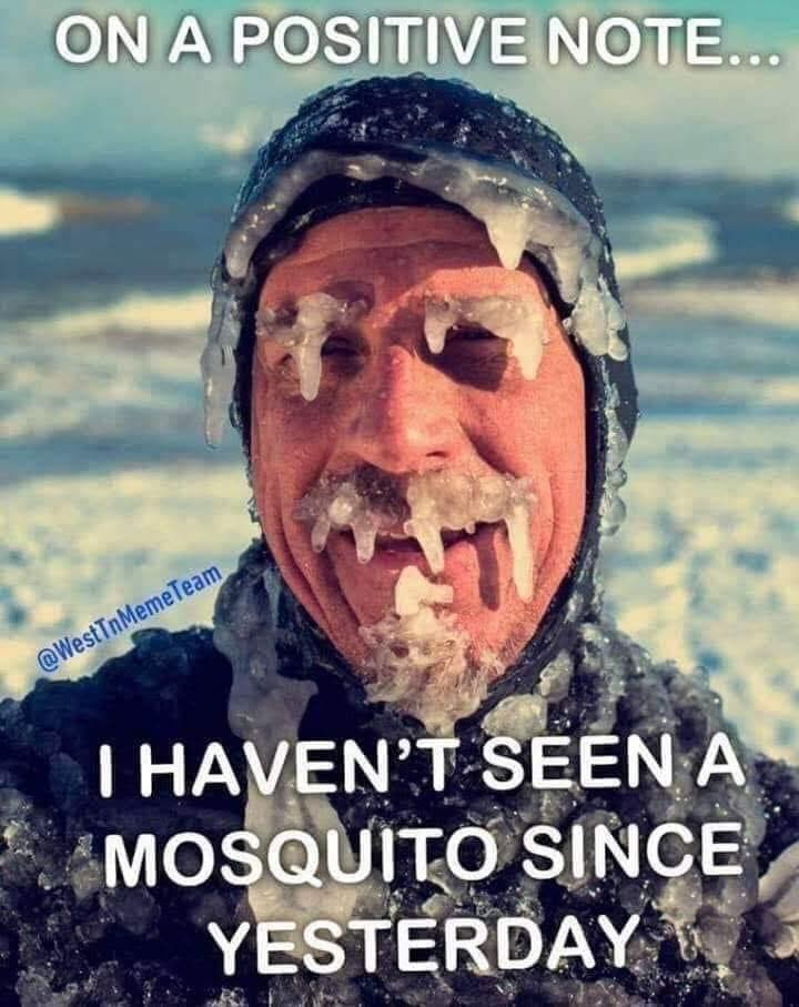 Hope everyone and their furry friends have been warm and indoors!