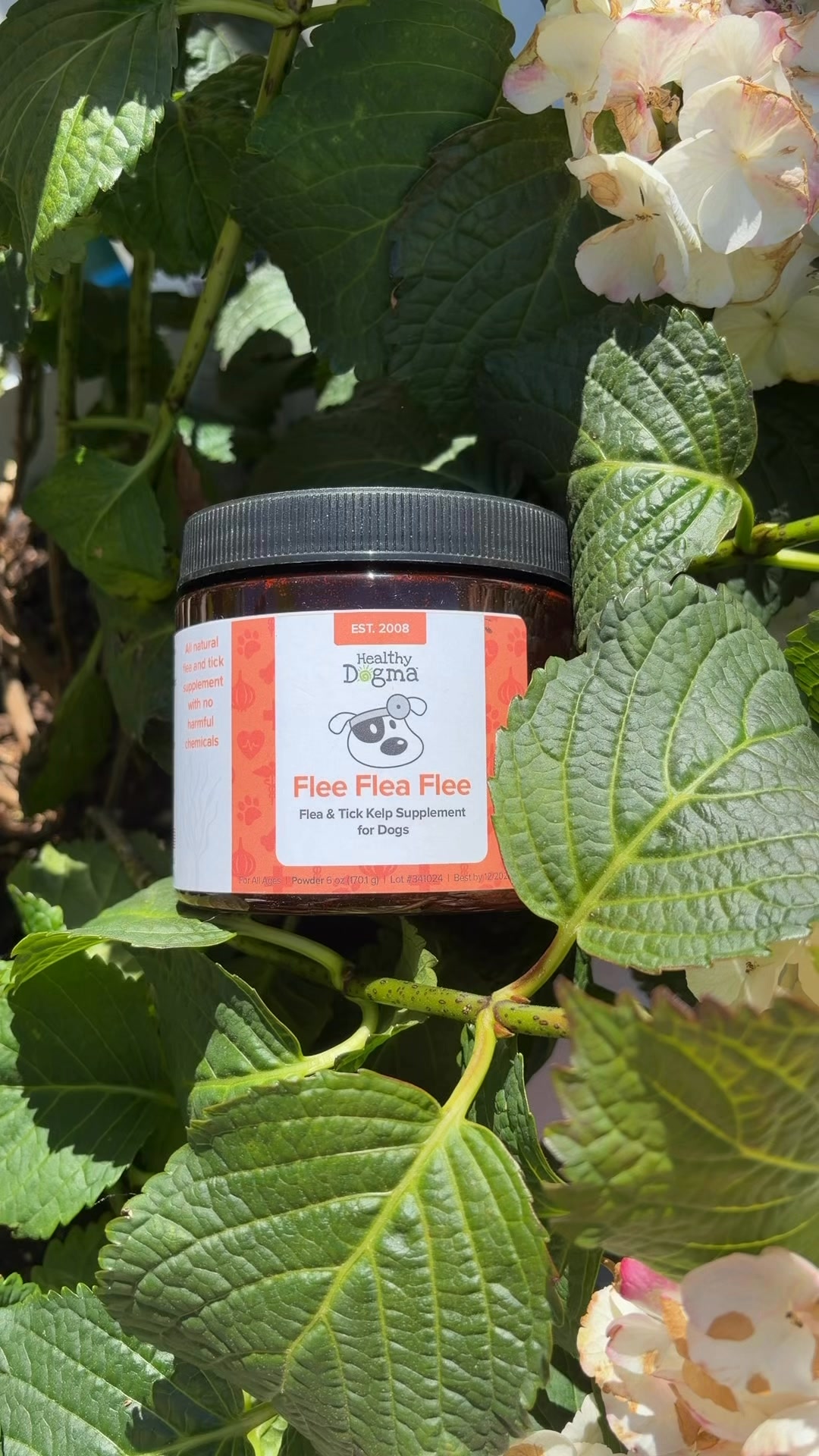 Start protecting against fleas and ticks with our flee flea flee powder you add to your dogs food!