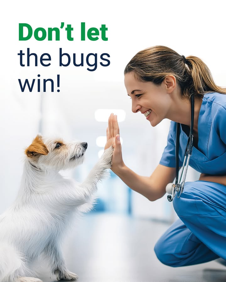 Parasites don’t care if it’s spring, summer, or sweater weather