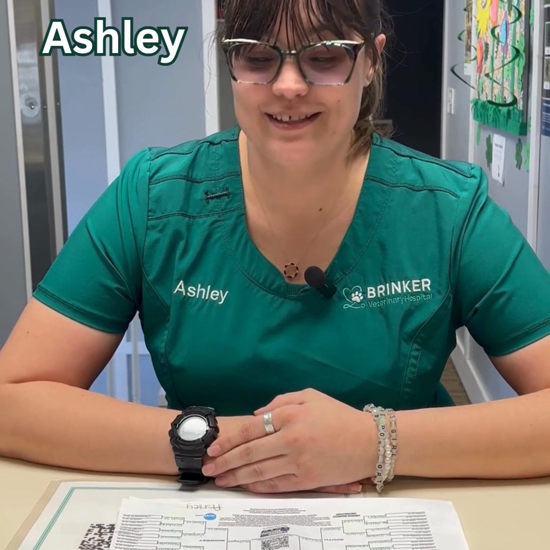 The crew at Brinker Veterinary Hospital wanted to get in on the March Madness