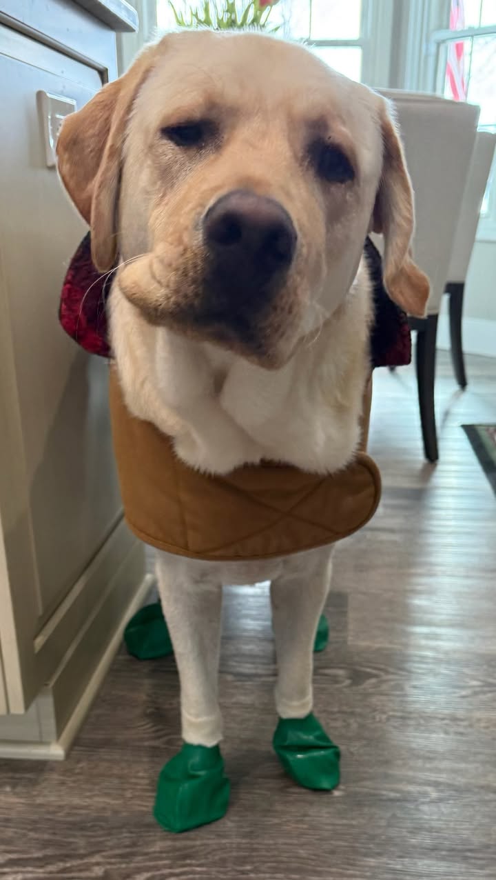 Remember when my mom dressed me up for Christmas?