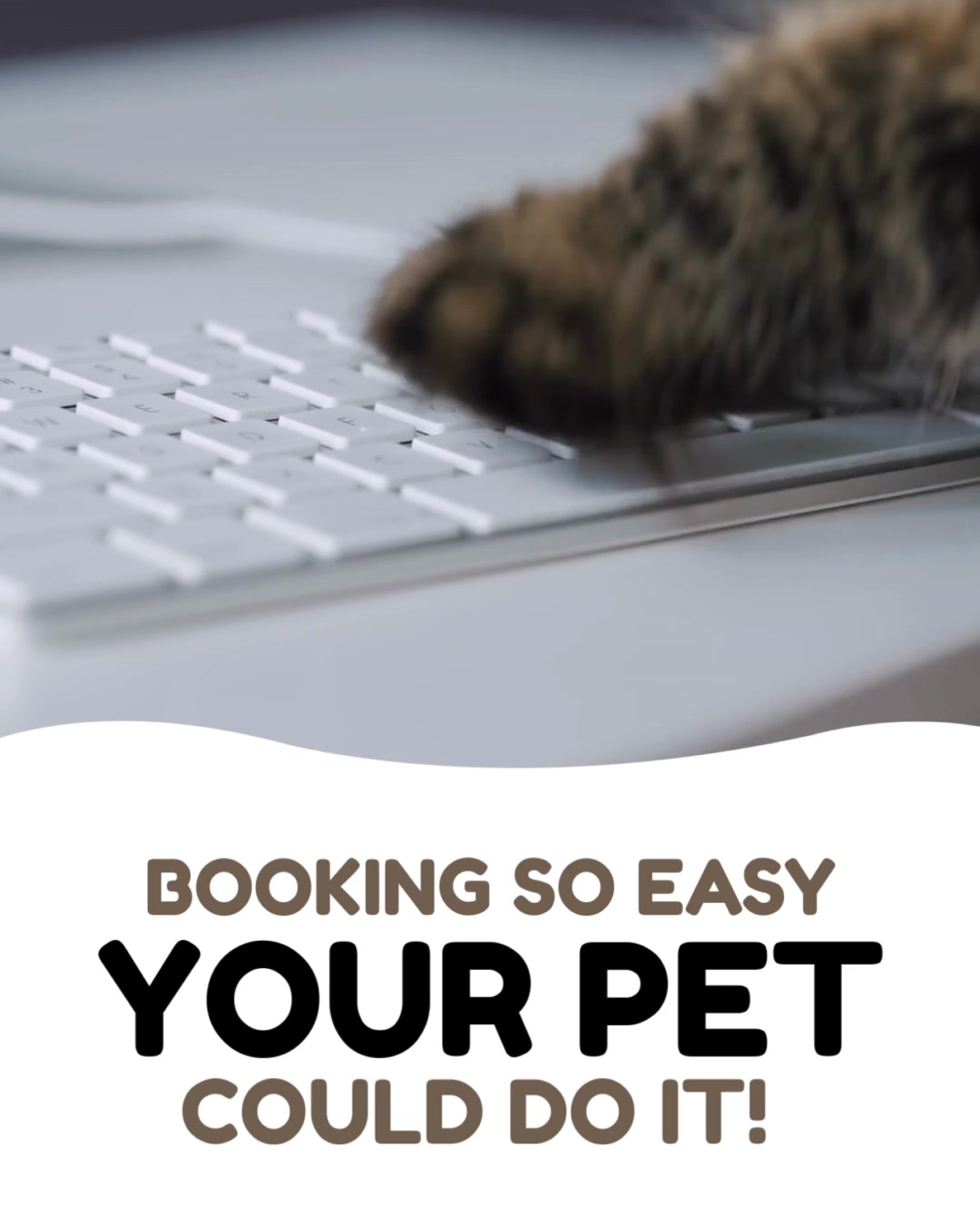 Online booking - so simple your pet could do it