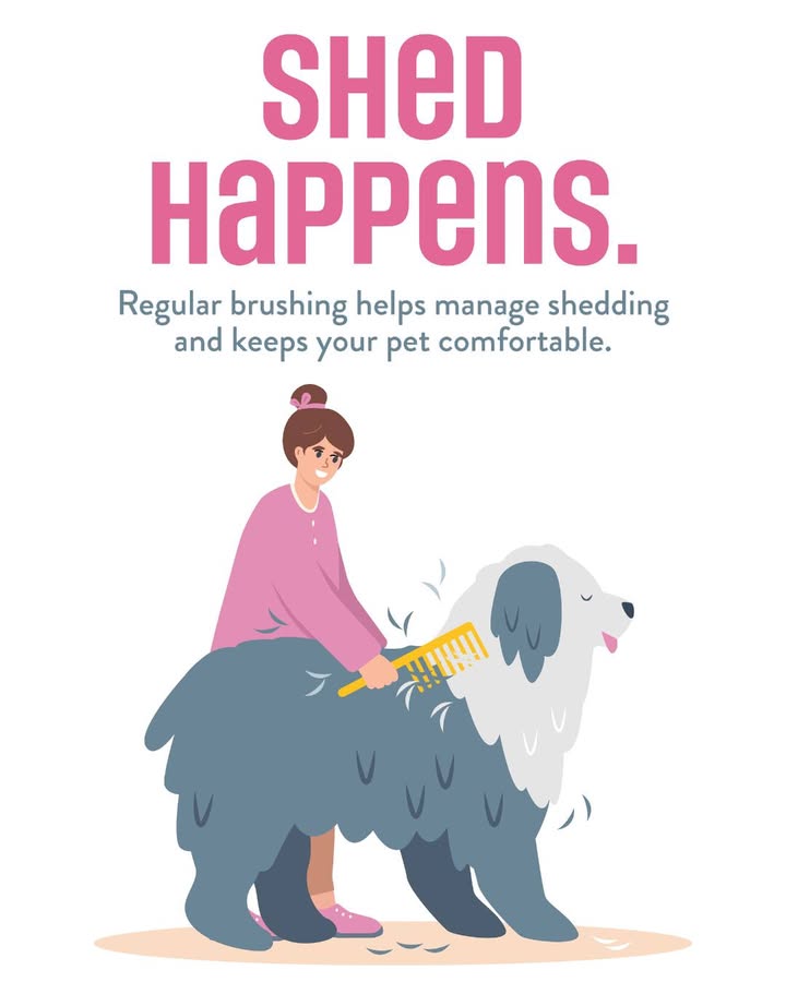 Spring shedding season is here!