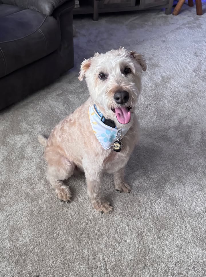 Koda says take a pic Mom!