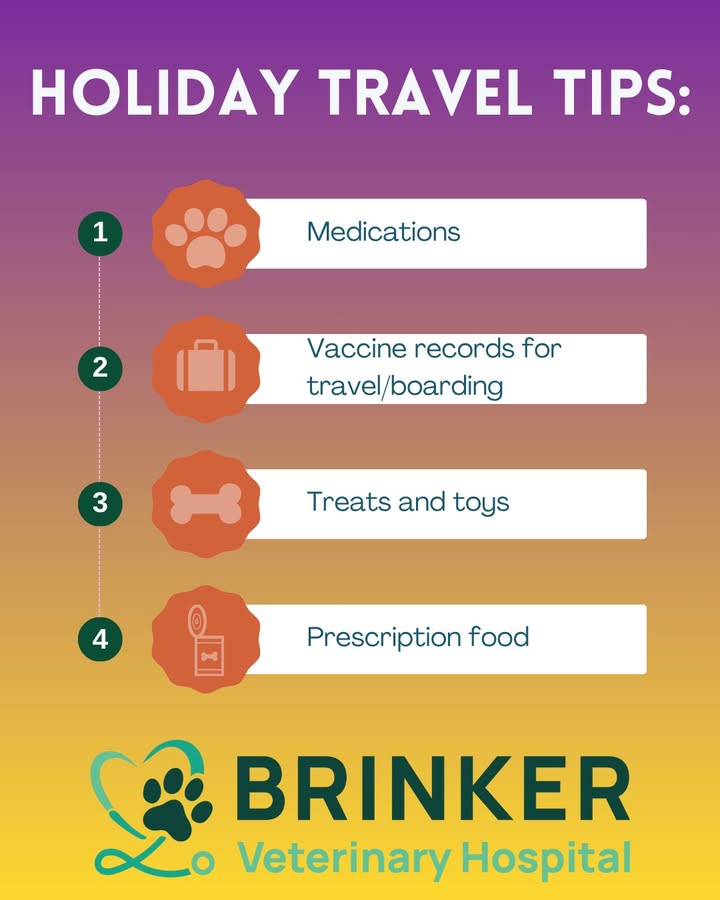 Is your pet prepared for the holidays?