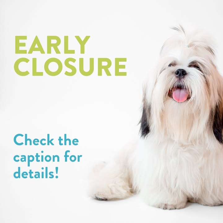 🚪 Early Closing Today