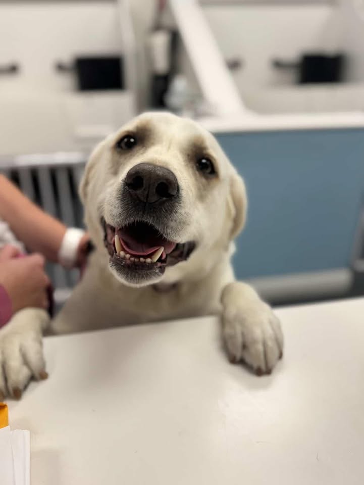 Got any treats back there?😋 ❤️🐾