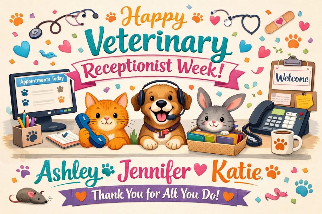 This week, we’re celebrating the incredible individuals who keep everything running smoothly at the front desk and beyond