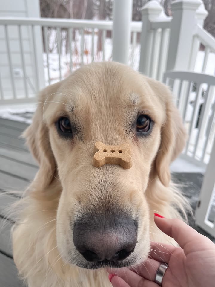 Balance, patience, and real ingredients 🦴✨