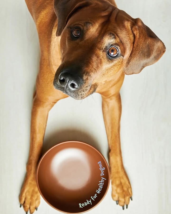 Demanding fresh food now!