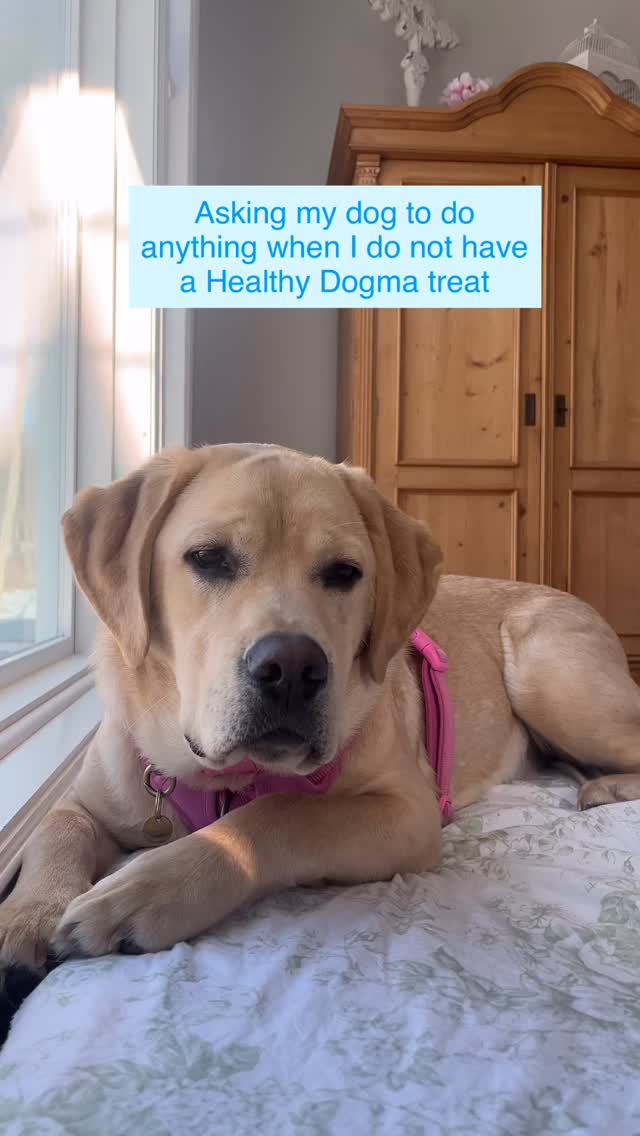 Sometimes all you need is a little bit of bribing