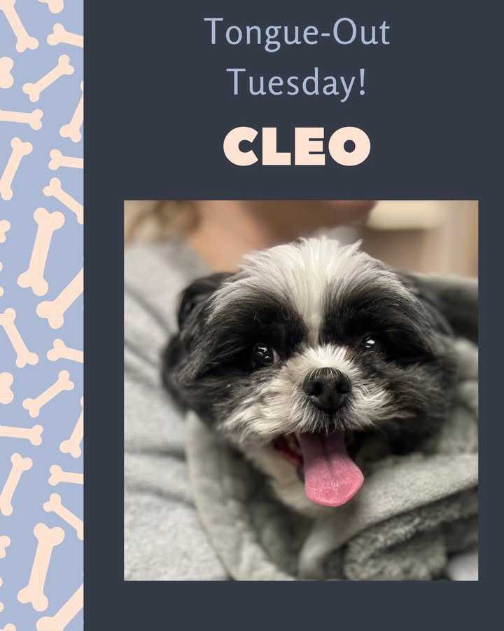 Cleo brought us nothing but good luck when we saw her on Friday the 13th!