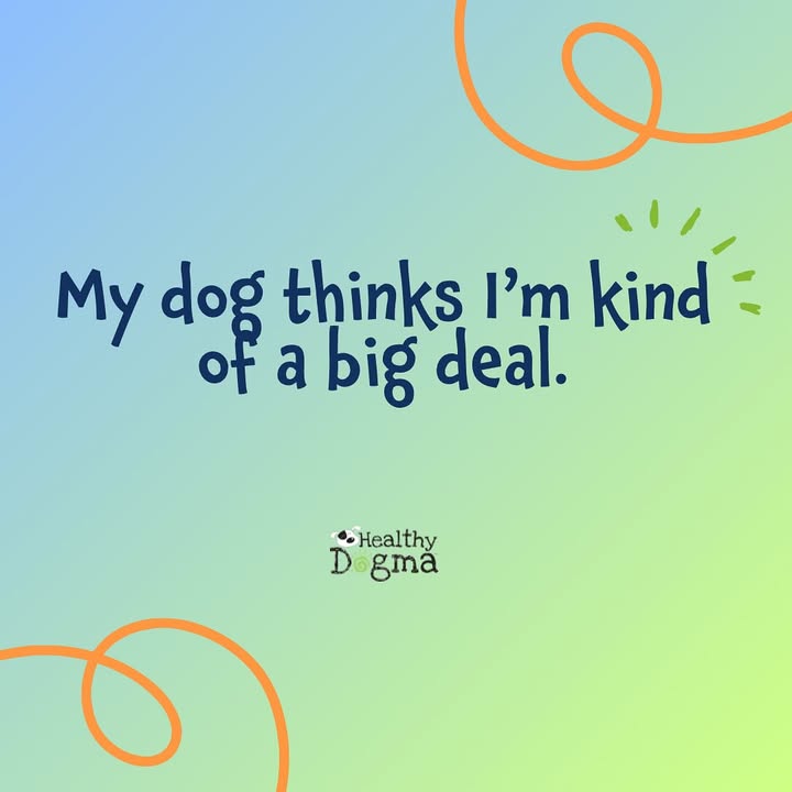 Your dogs opinion is all that matters!