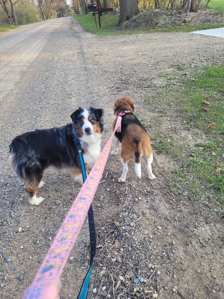 📓 Chap’s Diary Entry