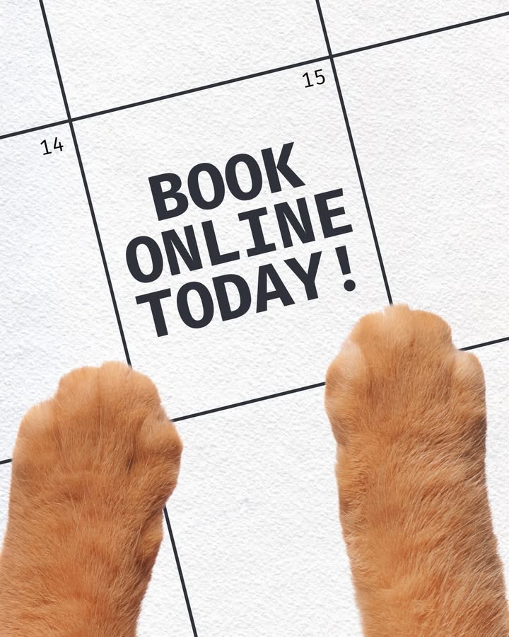 Future you will be glad that their next appointment is already on the calendar