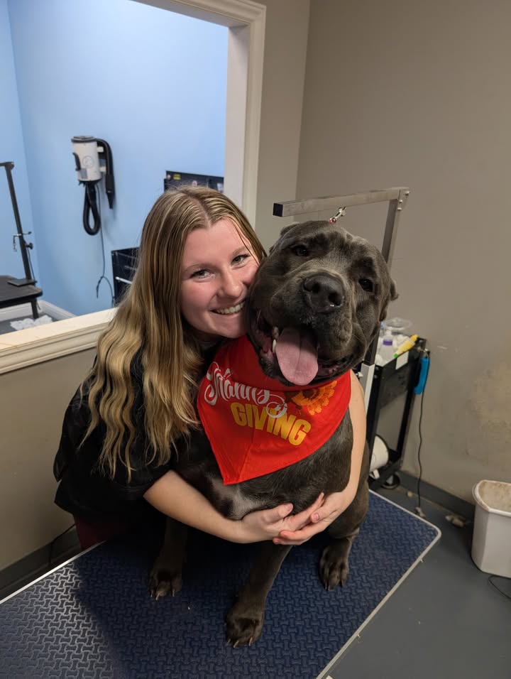 Photos from Love 4 Dogs's post