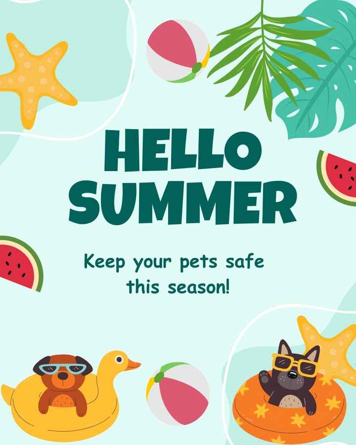 🌞 Warm Weather Prep