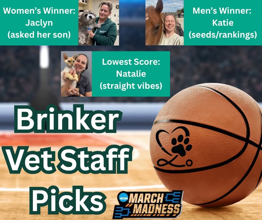 Photos from Brinker Veterinary Hospital's post