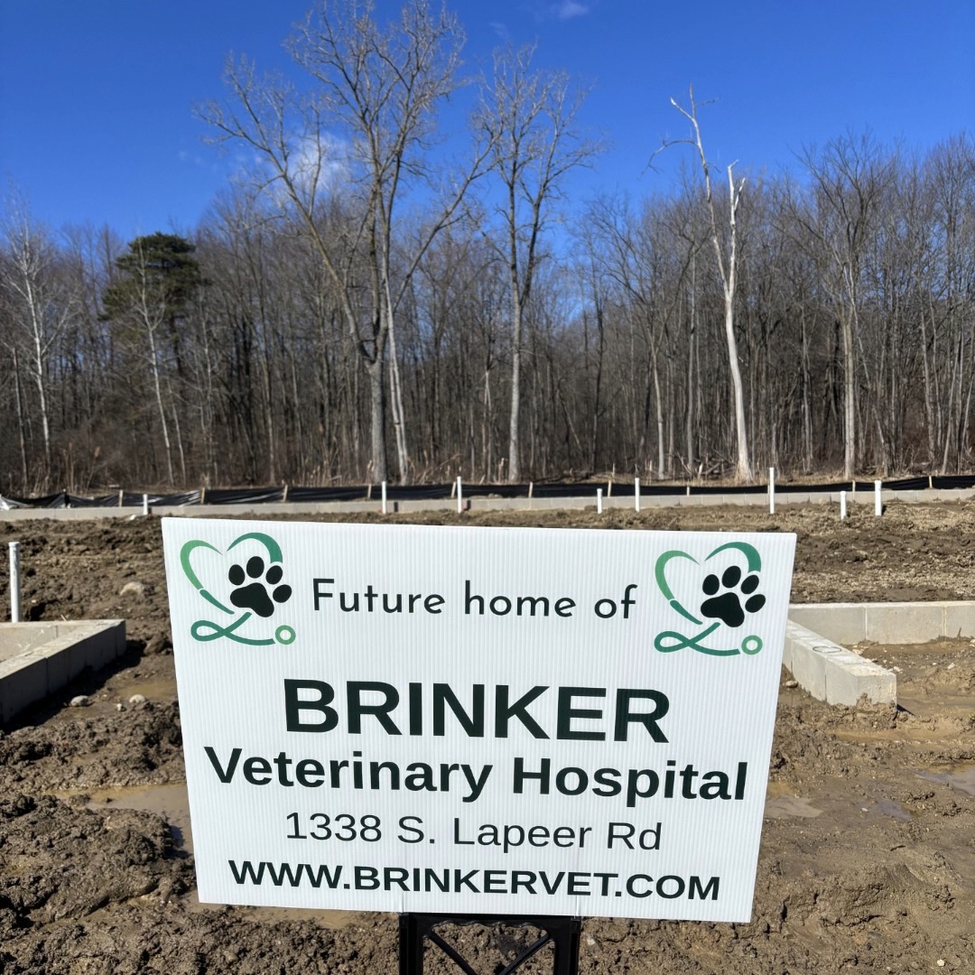 We have exciting news to share @brinkervet #newbuildwhodis #nomorestairs #vetmed #roomtogrow