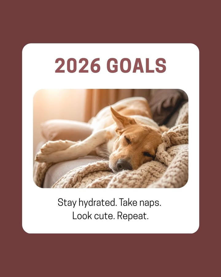 Your pet's 2026 goals!