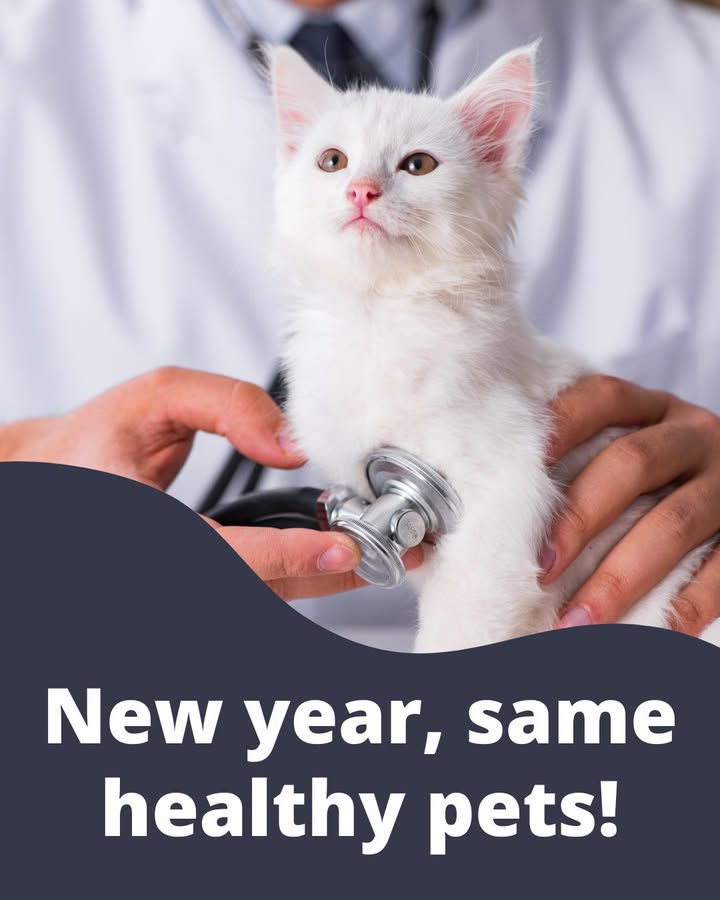 New year, same healthy pets - because you booked that wellness exam (right?!) 👏 Regular checkups help catch small issues early a...