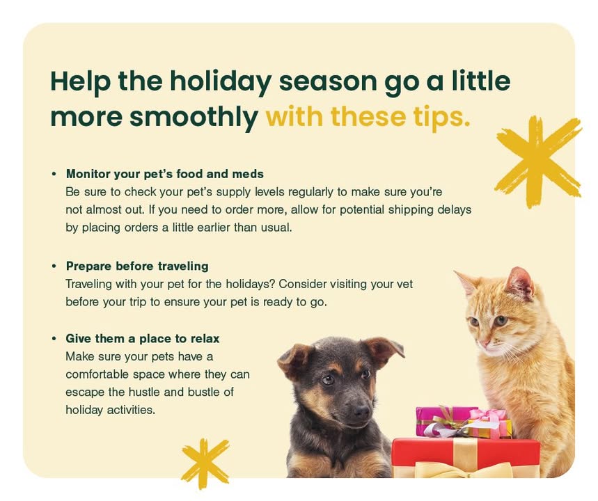 Follow these helpful tips for the holidays with your pet