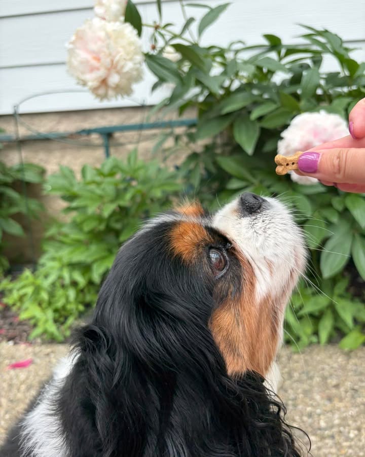 Just a couple of our favorite things: peony season and tiny bones 🌸🦴✨