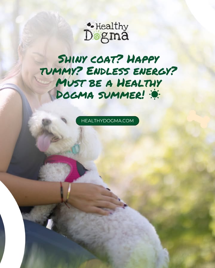 Real Food for Real Summer Energy 💪☀️