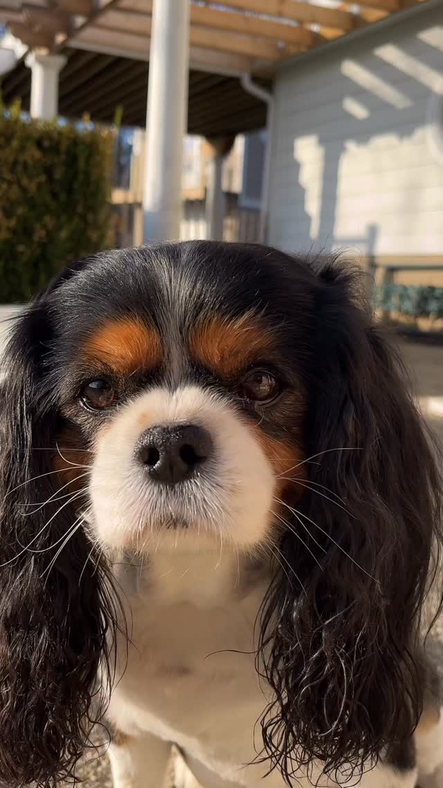 The best way to encourage is with a yummy treat!