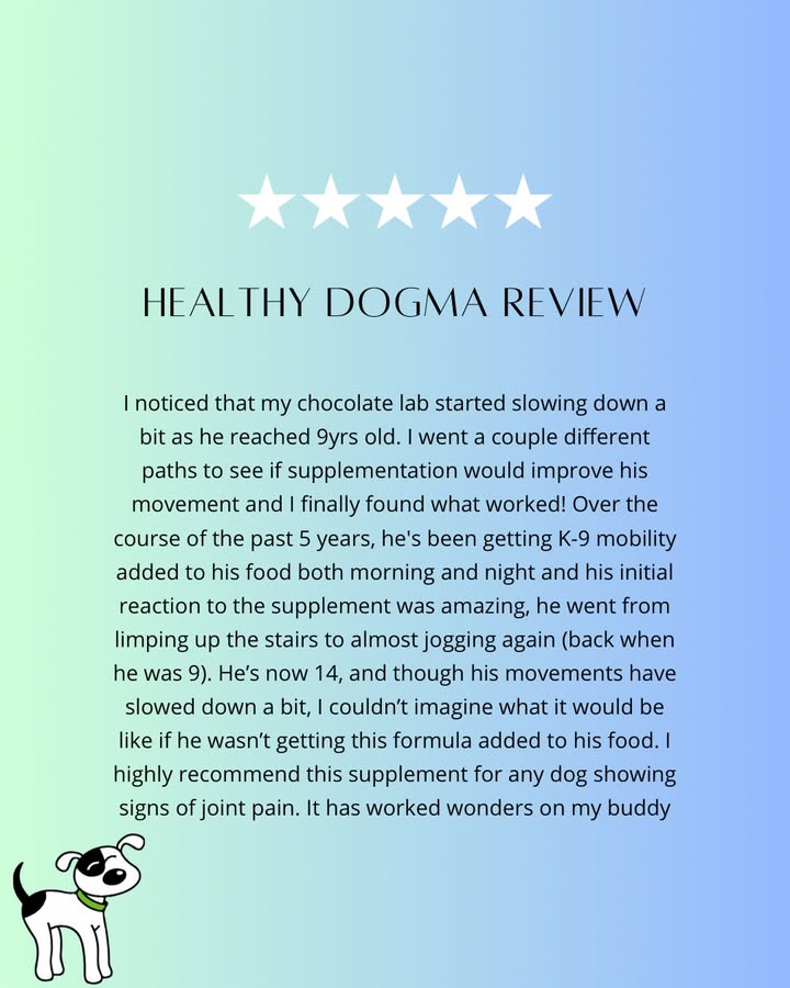 We love to hear your stories and Healthy Dogma experiences 💙🌱