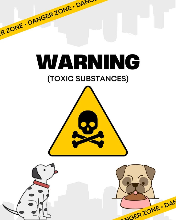It's Pet Poison Awareness month