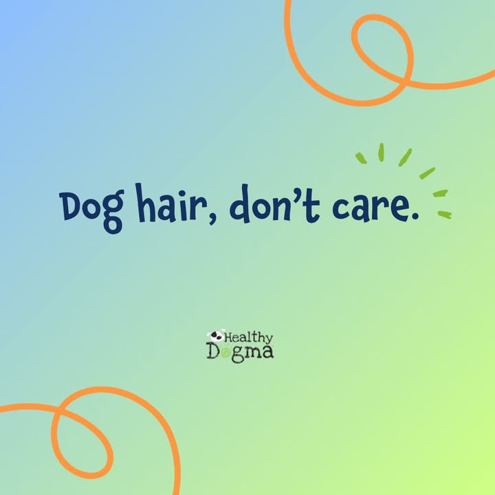 One thing a dog lover is not afraid of