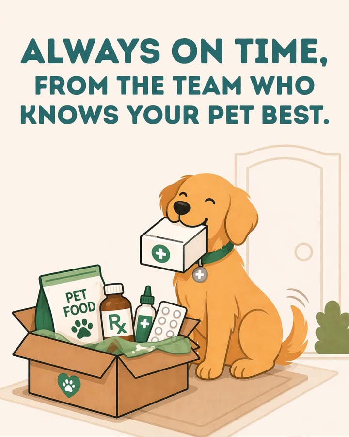 Staying on top of your pet’s care is easier with our online pharmacy