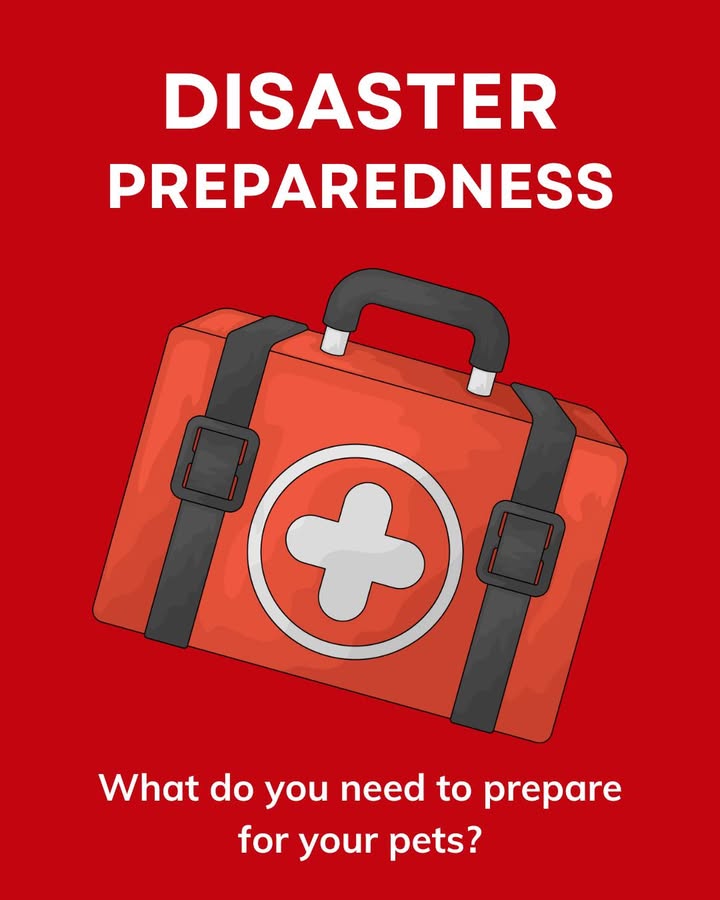 June is Pet Disaster Preparedness month, and we would like to share a few tips to help you include your pet in your plan
