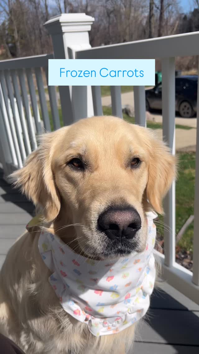 Spring fresh breath!