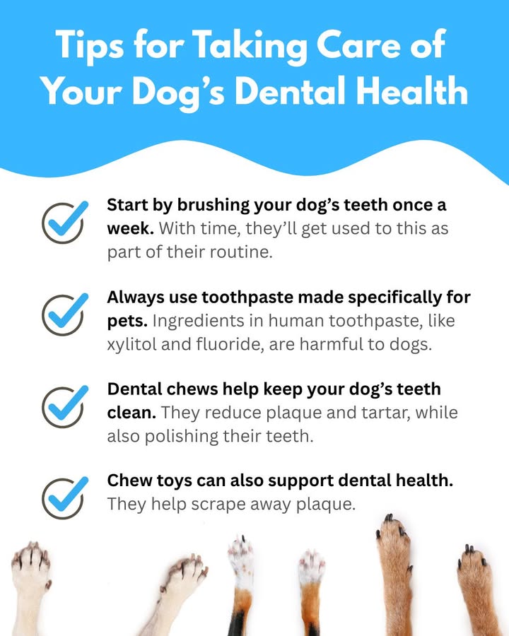 Bad breath isn’t something to ignore!